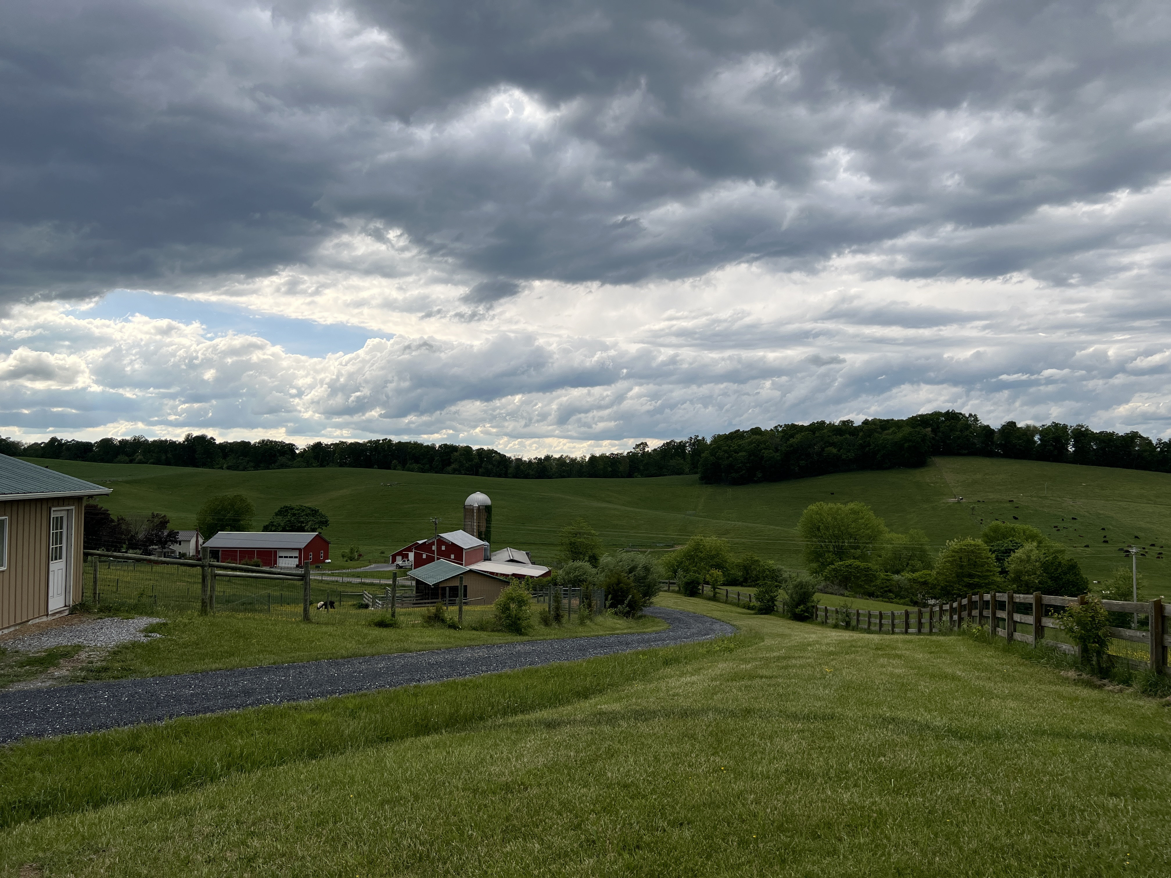 ./2025/04 - Virginia Creeper/IMG_5600.JPG